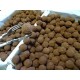 Truffe Cacao